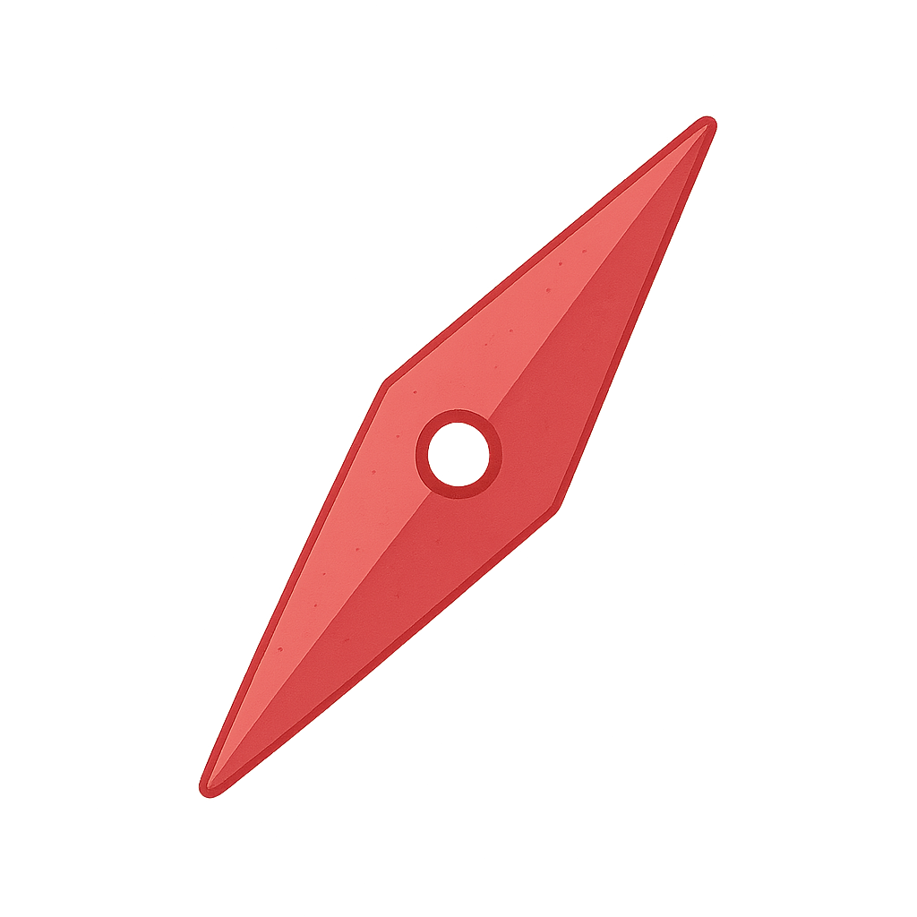 Kompass-Nadel